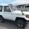 toyota land-cruiser 1993 Mitsuicoltd_TYLC0006473R0110 image 10