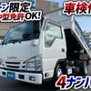 isuzu elf-truck 2016 GOO_NET_EXCHANGE_0700644A30240811W001 image 2