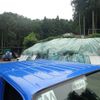 isuzu elf-truck 2006 CFJ1398964 image 56