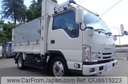 isuzu elf-truck 2018 GOO_NET_EXCHANGE_0403852A30230525W001