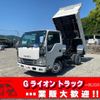 isuzu elf-truck 2017 GOO_NET_EXCHANGE_0730233A30250606W001 image 1