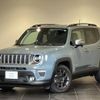 jeep renegade 2019 quick_quick_BU13_1C4BU0000KPJ69828 image 1