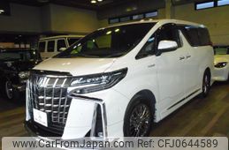 toyota alphard 2020 -TOYOTA--Alphard 6AA-AYH30W--AYH30-0118492---TOYOTA--Alphard 6AA-AYH30W--AYH30-0118492-