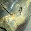 honda life 2010 -HONDA--Life DBA-JC1--JC1-1201814---HONDA--Life DBA-JC1--JC1-1201814- image 20