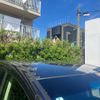 honda odyssey 2014 CFJ1699886 image 6