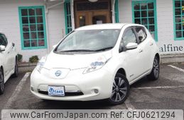 nissan leaf 2016 -NISSAN--Leaf AZE0--202069---NISSAN--Leaf AZE0--202069-