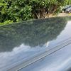 honda odyssey 2008 CFJ1730111 image 7