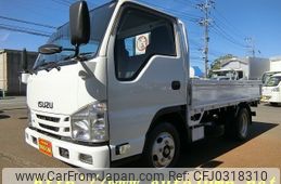 isuzu elf-truck 2010 CFJ0318310