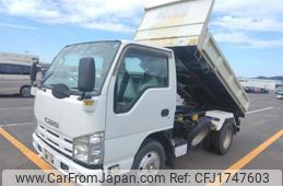 isuzu elf-truck 2010 CFJ1747603