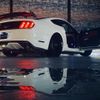 ford mustang 2017 -FORD--Ford Mustang humei--1FA6P8TH7F5360728---FORD--Ford Mustang humei--1FA6P8TH7F5360728- image 21