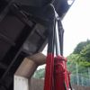 isuzu forward 2024 quick_quick_2RG-FTR90U4_FTR90-7018298 image 16
