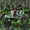 lexus nx 2021 CFJ1584857 image 15