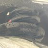 nissan aura 2022 -NISSAN--AURA 6AA-FE13--FE13-213041---NISSAN--AURA 6AA-FE13--FE13-213041- image 20