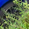 subaru brz 2016 CFJ1668510 image 19