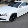 audi s5 2009 -AUDI--Audi S5 ABA-8TCAUF--WAUZZZ8T19A016938---AUDI--Audi S5 ABA-8TCAUF--WAUZZZ8T19A016938- image 18