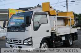 isuzu elf-truck 2006 GOO_NET_EXCHANGE_1101302A30180807W002