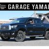 toyota tundra 2010 GOO_NET_EXCHANGE_9200620A30250617W001 image 1