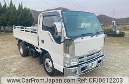 isuzu elf-truck 2007 GOO_NET_EXCHANGE_0720249A30241230W003