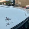 daihatsu tanto 2008 -DAIHATSU--Tanto DBA-L375S--L375S-0005250---DAIHATSU--Tanto DBA-L375S--L375S-0005250- image 13