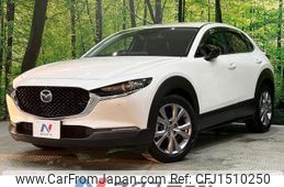 mazda cx-3 2019 CFJ1510250