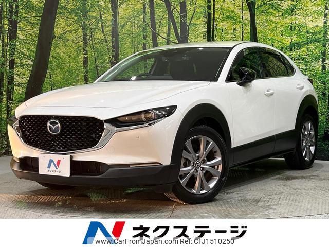 mazda cx-3 2019 CFJ1510250 image 1