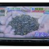toyota noah 2014 -TOYOTA--Noah DBA-ZRR80G--ZRR80-0020822---TOYOTA--Noah DBA-ZRR80G--ZRR80-0020822- image 8