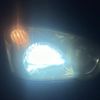 subaru impreza 2002 quick_quick_GDA_GDA-012074 image 18
