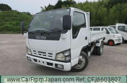 isuzu elf-truck 2006 GOO_NET_EXCHANGE_0703604A30210604W001