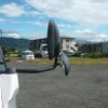 mitsubishi-fuso canter 2012 CFJ1717928 image 33