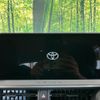 toyota prius 2024 quick_quick_MXWH60_MXWH60-4080639 image 4
