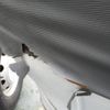 mitsubishi minicab-truck 2001 -MITSUBISHI--Minicab Truck U62T--0307672---MITSUBISHI--Minicab Truck U62T--0307672- image 22