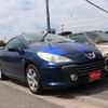 peugeot 307 2006 CFJ1729440 image 1