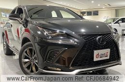 lexus nx 2019 -LEXUS--Lexus NX AGZ15--AGZ15-1009183---LEXUS--Lexus NX AGZ15--AGZ15-1009183-