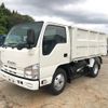 isuzu elf-truck 2011 GOO_NET_EXCHANGE_0404245A30250509W001 image 3
