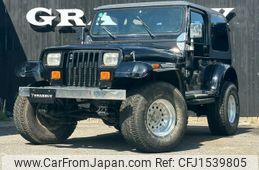 chrysler jeep-wrangler 1995 CFJ1539805