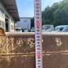 mitsubishi-fuso canter 2017 CFJ1738192 image 49