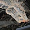 mitsubishi-fuso rosa-bus 1999 CFJ6672926 image 21