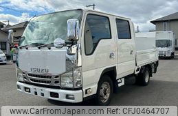 isuzu elf-truck 2010 GOO_NET_EXCHANGE_1000872A30241119W001