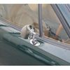 mazda roadster 1992 -MAZDA 【習志野 502ﾃ8181】--Roadster E-NA6CE--NA6CE-203636---MAZDA 【習志野 502ﾃ8181】--Roadster E-NA6CE--NA6CE-203636- image 33