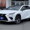 lexus nx 2019 CFJ1738826 image 1