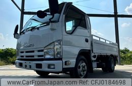 isuzu elf-truck 2010 GOO_NET_EXCHANGE_0401987A30240907W001