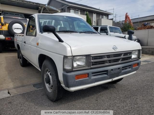 nissan dutsun-truck 1995 GOO_NET_EXCHANGE_0207434A30241024W001 image 1