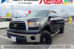 toyota tundra 2010 GOO_NET_EXCHANGE_1166145A30250125W008