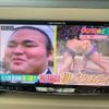 suzuki alto-lapin 2014 quick_quick_DBA-HE22S_HE22S-870510 image 13