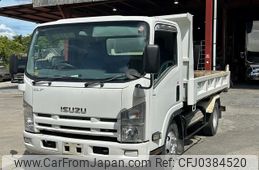 isuzu elf-truck 2008 GOO_NET_EXCHANGE_0704404A30241029W002