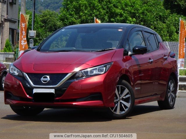 nissan leaf 2019 CFJ1504605 image 1