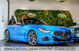 bmw z4 2019 quick_quick_3BA-HF30_WBAHF52010WW58318