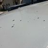 toyota land-cruiser-prado 2008 CFJ1580840 image 9
