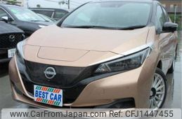 nissan leaf 2022 -NISSAN--Leaf ZE1--ZE1-204784---NISSAN--Leaf ZE1--ZE1-204784-