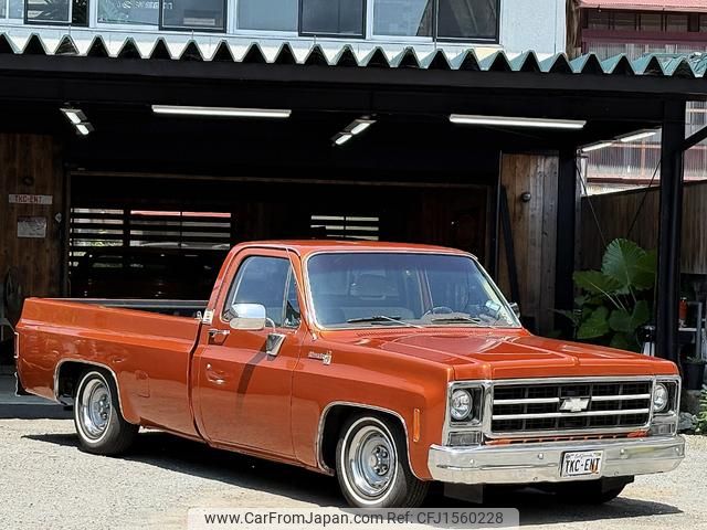 chevrolet c-10 1979 CFJ1560228 image 2